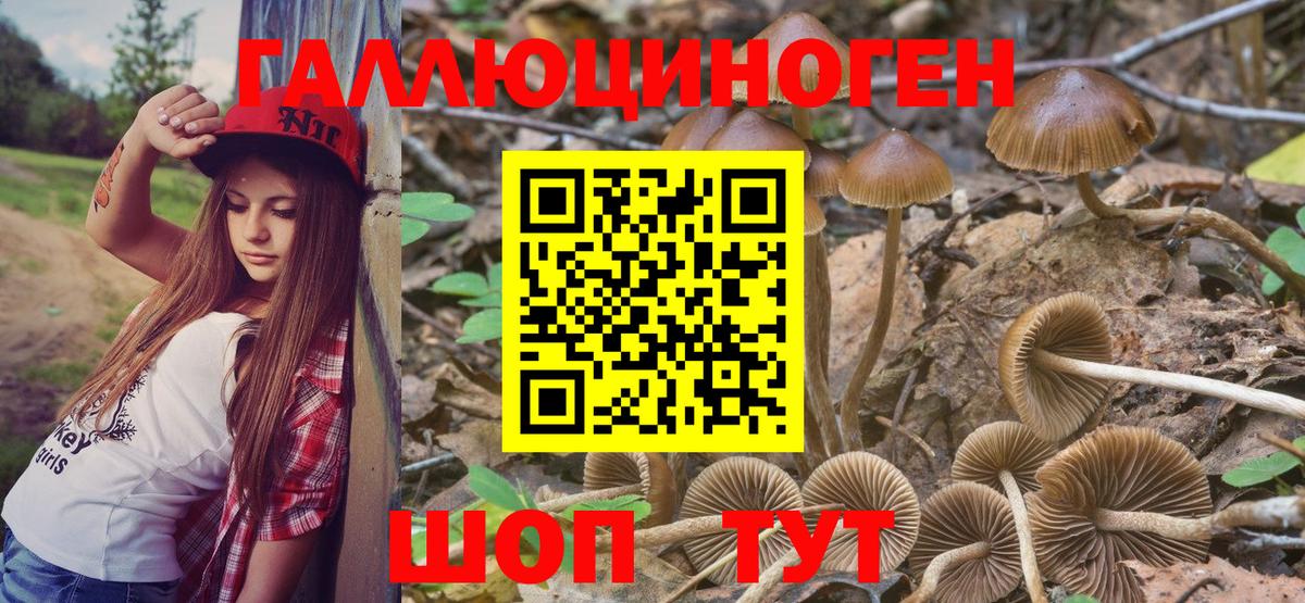 Галлюциногенные грибы GOLDEN TEACHER  Вход с VPN  Калининград 